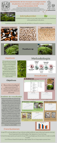 Resistencia-de-los-musgos-a-comparacion-de-plantas-con-sistema-vascular-a-los-Rayos-Ultravioleta.pdf