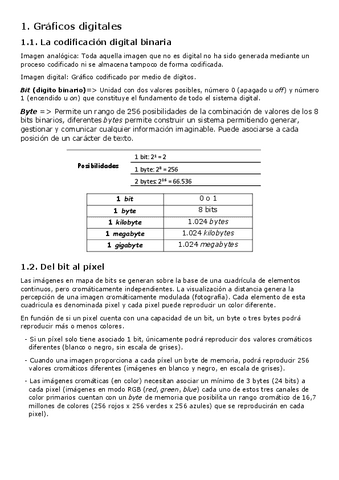 Resumen-Graficos-digitales.pdf