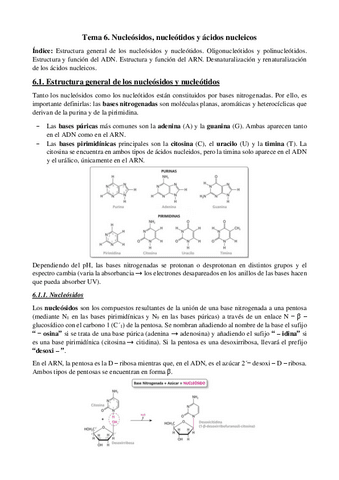 Tema-6-Nucleos-nucleot-y-ac-nuclei.pdf