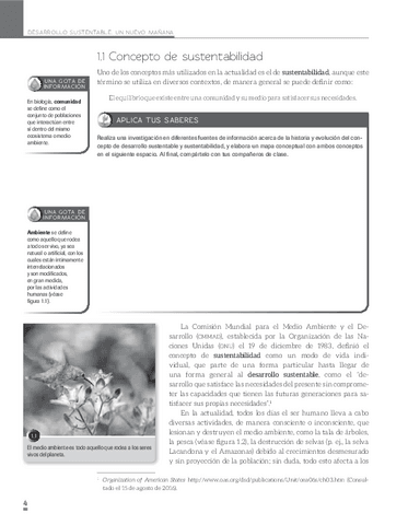 Sustentabilidad.pdf