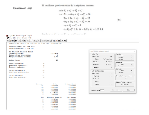 EJERCICIO-programacion-por-metas.pdf