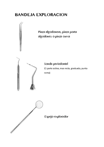 BANDEJA-EXPLORACION.pdf