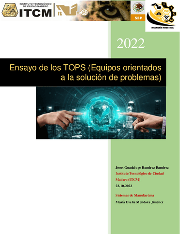 Ensayo-de-los-TOPS-Equipos-orientados-a-la-solucion-de-problemas.pdf