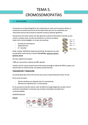 TEMA-5-PATOLOGIA-DESARROLLO.pdf
