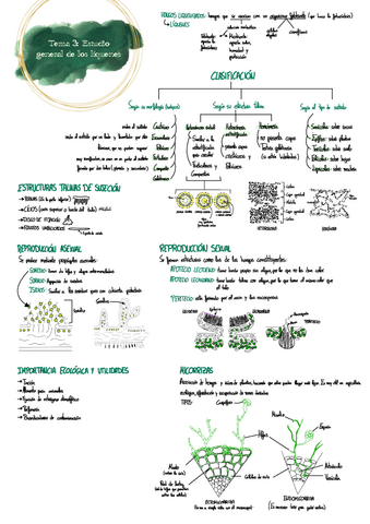 Tema-3-botanica.pdf