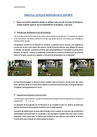 Leyes-de-Newton-Ejemplos.pdf