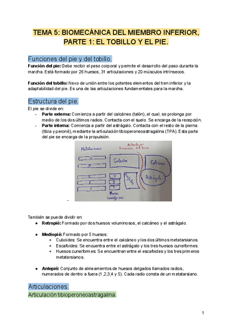 TEMA-5-BIOMECANICA.docx.pdf