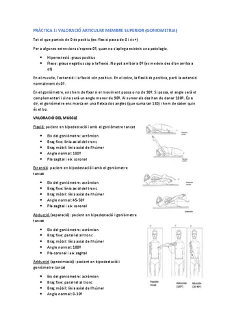 PRACTIQUES-VALORACIO-MEUES.pdf