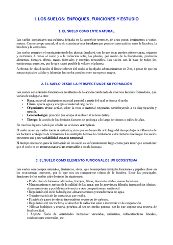 Sols-explicacio.pdf