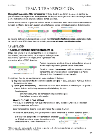Tema-3-Transposicion.pdf