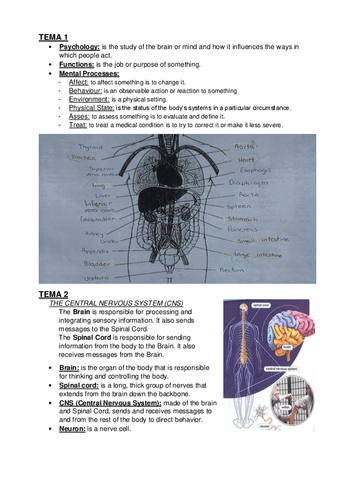 1o-Parcial-de-Ingles.pdf