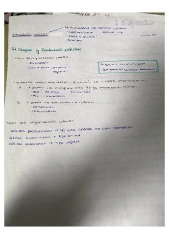 94F4C5E4-88DA-444D-912E-EA00AD8E78AB.pdf