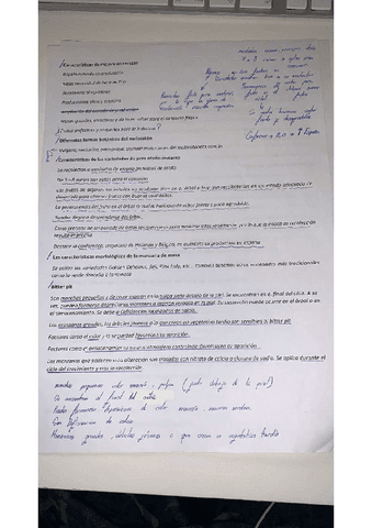 Peguntas-examen-PMPOV.pdf