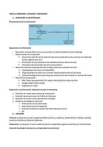 TEMA-6-COMPORTAMIENTO.pdf