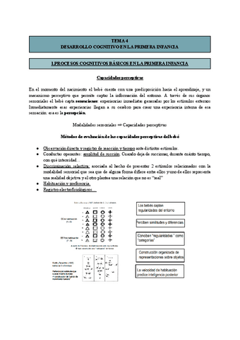 T4-Psicologia-del-Desarrollo-I.pdf