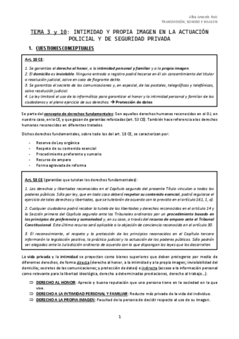 TEMA-3-y-10-TIS.pdf