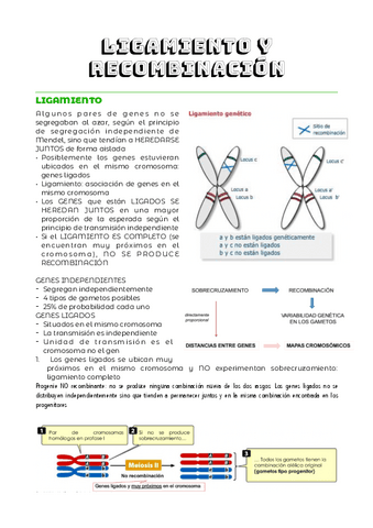 TEMA-4.pdf