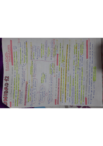 economia-tema-12-pdf.pdf