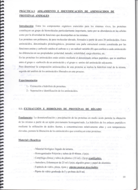 Guía bioquímica I.pdf
