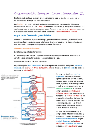 Aparato-cardiovascular-I.pdf