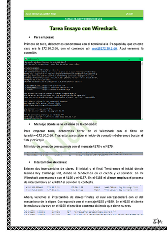 Ejercicio-Ensayo-Wireshark.pdf