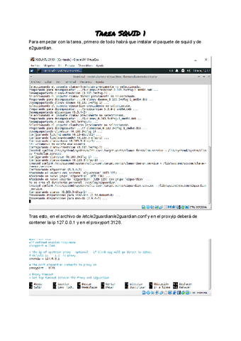 Tarea-SQUID-1.pdf