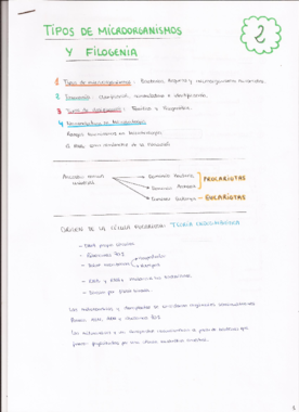 2. Tipos de microorganismos y filogenia.pdf
