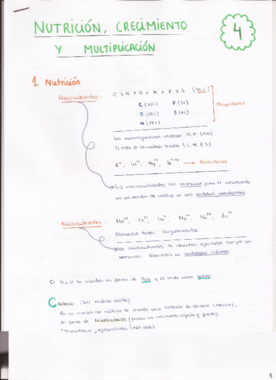 4. Nutrición- crecimiento y multiplicación.pdf