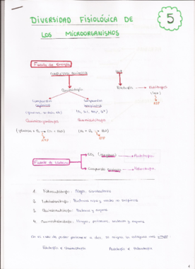 5. Diversidad fisiológica de los microorganismos.pdf