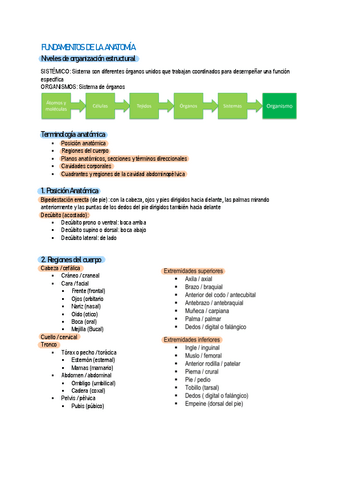 Tema-1-Fundamentos-de-la-anatomia.pdf