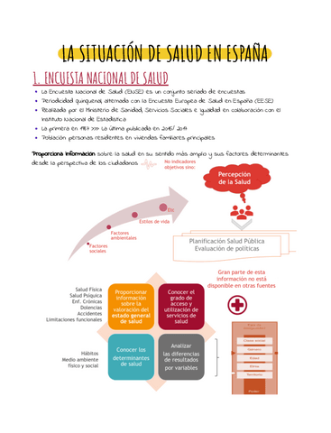 La-situacion-de-salud-en-Espana.pdf