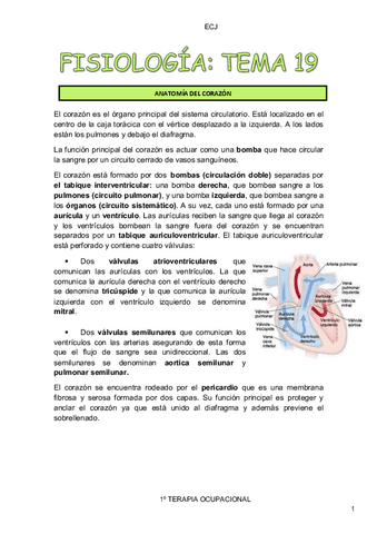 FISIOLOGIA-T19-PDF.pdf