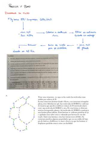 Practica-1-Boro.pdf