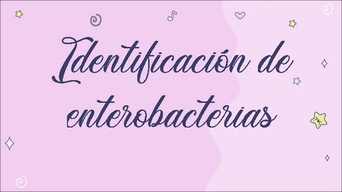 Enterobacterias.pdf