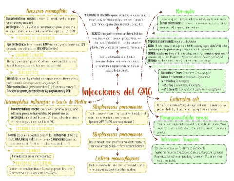 Infecciones-SNC.pdf