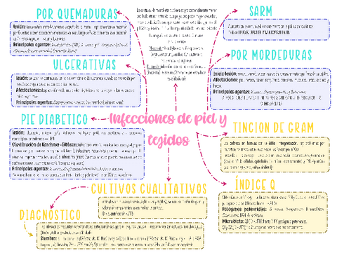 infecciones-de-piel-y-tejidos.pdf