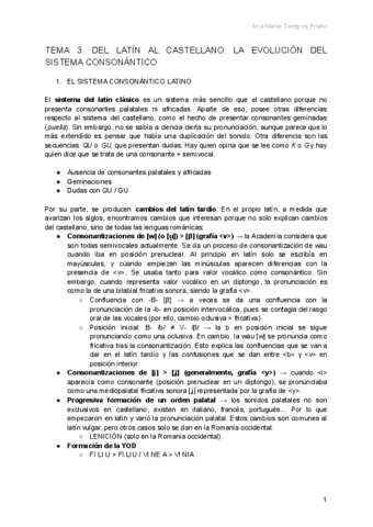 Tema-3.-Del-latin-al-castellano-la-evolucion-del-sistema-consonantico.pdf