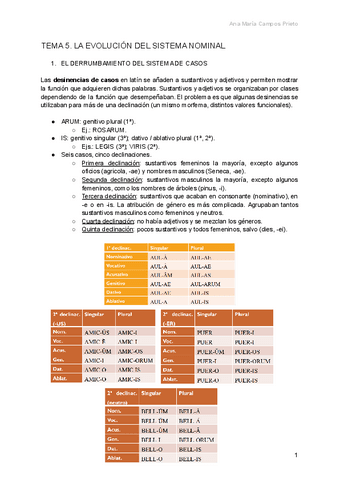 Tema-5.-La-evolucion-del-sistema-nominal.pdf