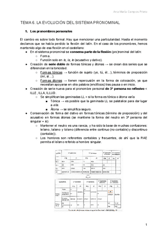 Tema-6.-La-evolucion-del-sistema-pronominal.pdf