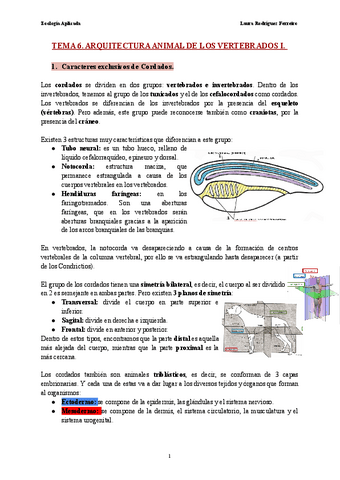 Tema-6-Zoologia-Aplicada.pdf