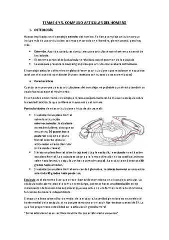 TEMA-4-5.pdf