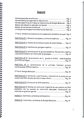 Guía BQ y BM II.pdf