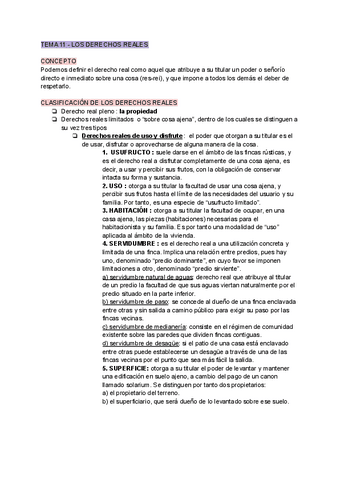 TEMA-11.pdf