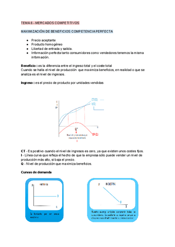 TEMA-6-MERCADOS-COMPETITIVOS.pdf