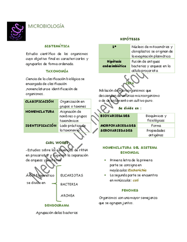 MICROBIOLOGIA.pdf