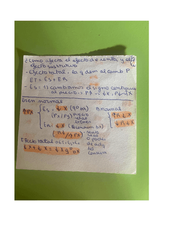 Bien-normal-inferior....pdf