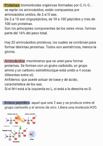 Proteinas220119112832.pdf