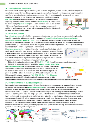 14.-Energia-ecosistemas.pdf