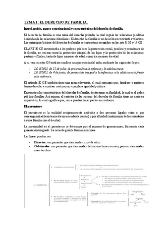 civil-tema-1.pdf