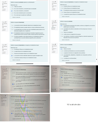 primera-autoevaluacion.pdf